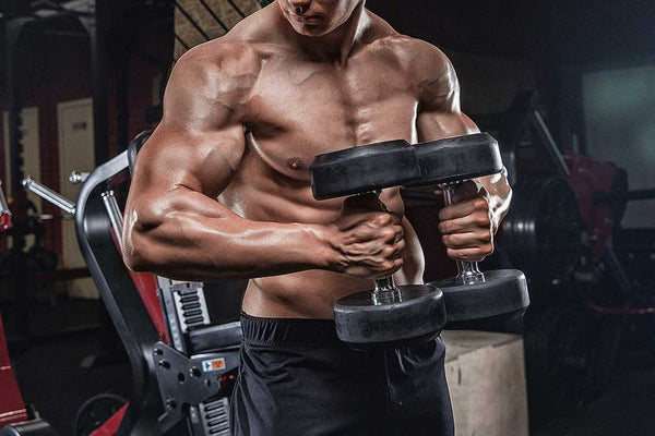 10 Best Chest Workout Exercises for Building Muscle