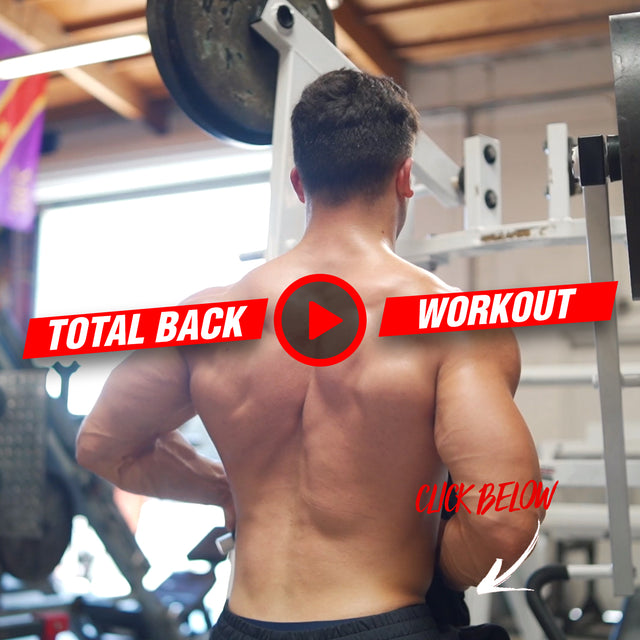 Total best sale back workout