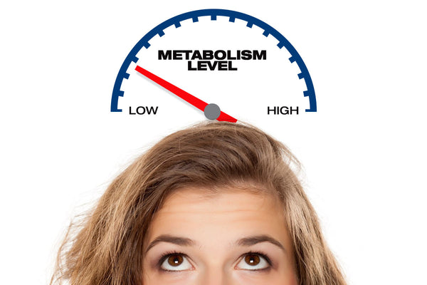 Do We Burn Less Calories As We Get More Shredded?