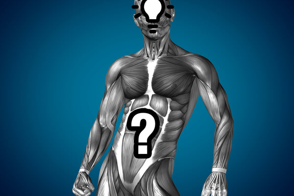 How Can You Control Hunger Hormones?