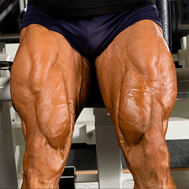 How to Build Bigger Legs 1 Up Nutrition