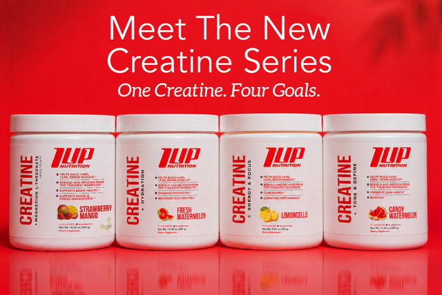 is l carnitine the same as creatine VS Buy Creatine + Beta Alanine