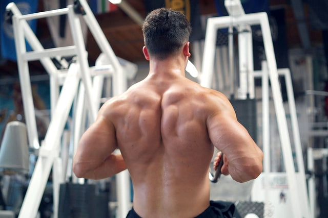 Master Your Mid – Back Construction. Best 5 Exercises for Mid Back – 1 Up  Nutrition
