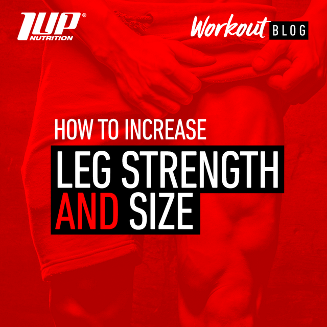 How to Increase Leg Strength and Size 1 Up Nutrition
