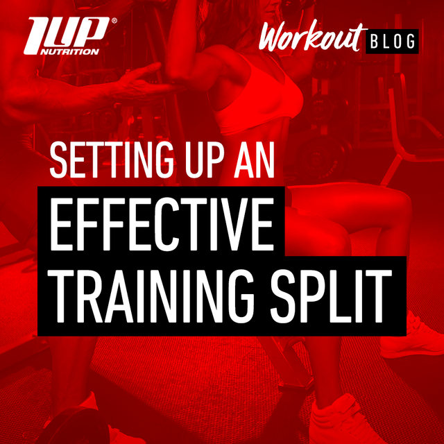 Setting Up An Effective Training Split – 1 Up Nutrition