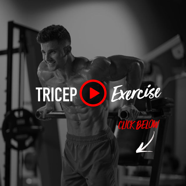 Chain Dips 1 Up Nutrition