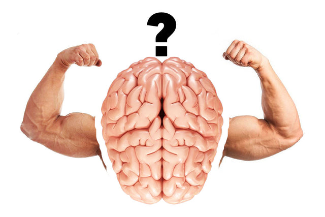 What Is The Mind Muscle Connection? – 1 Up Nutrition