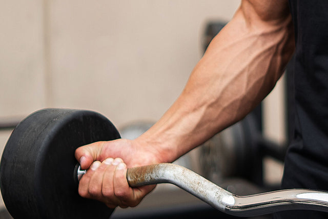 Why Grip Strength Matters to Your Health? – 1 Up Nutrition