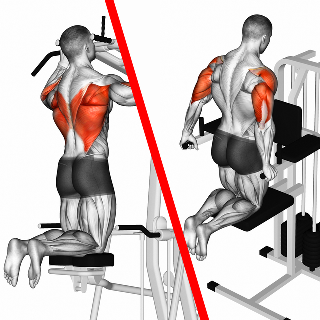 Yes to Assisted Pull Ups and Dips 1 Up Nutrition