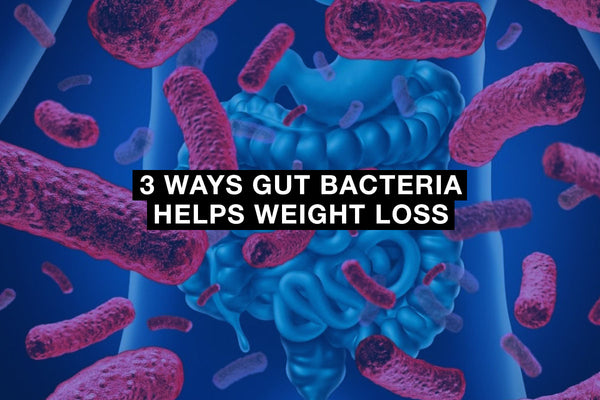 3 Ways Gut Bacteria Helps Weight Loss