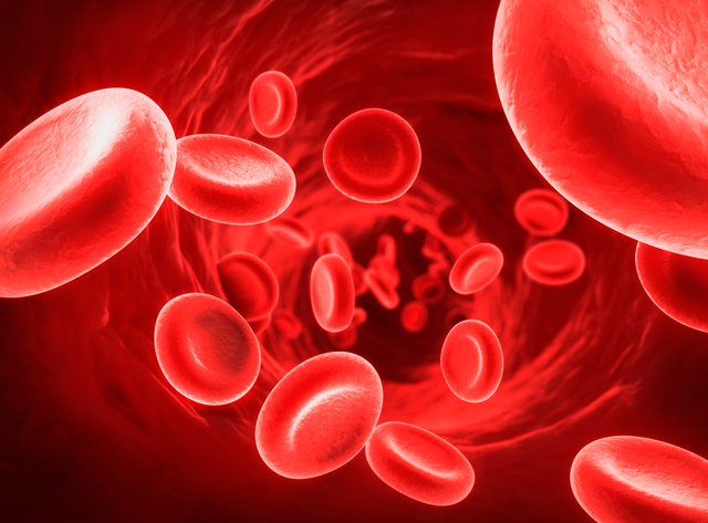 Blood Sugar/Glucose and Muscle Gain