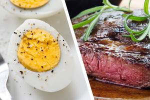 Egg Protein vs Meat Protein