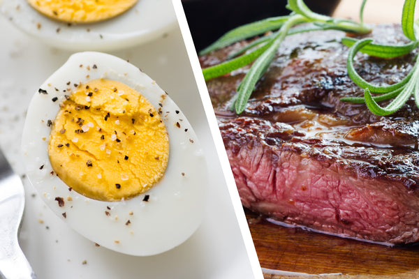 Egg Protein vs Meat Protein