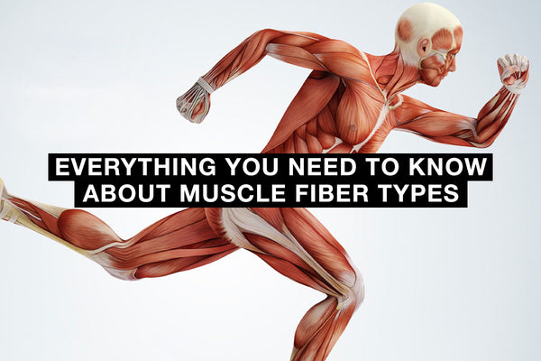Not All Muscles are The Same. Muscle Fiber Types 101