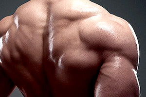 Front Shrug and Back Shrug