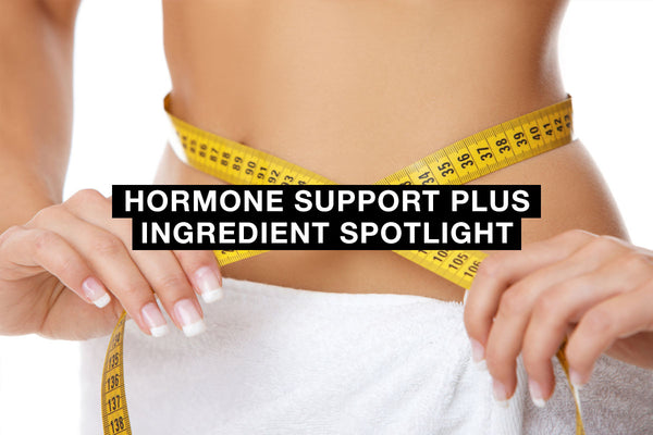 Hormone Support Plus Ingredient Spotlight