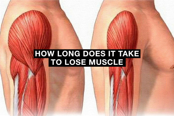 How Long Does It Take to Lose Muscle