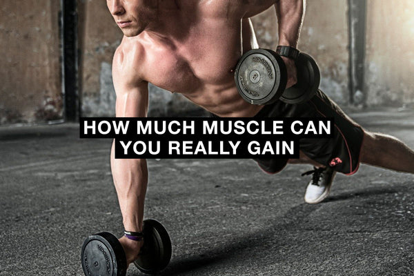 How Much Muscle Can You Really Gain