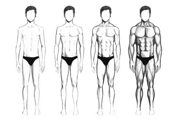 How to Gain Muscle if you are an Ectomorph