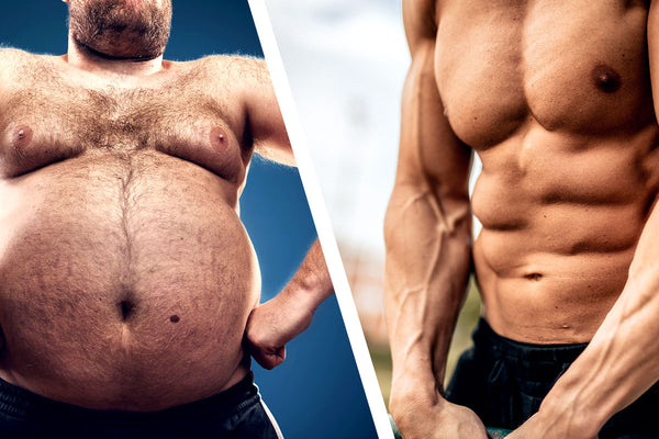 Importance of Testosterone for Fat Loss and Muscle Building