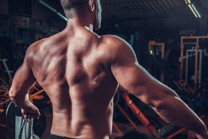 Strengthening the Lower Back