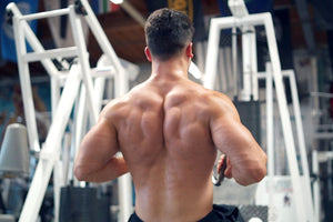 Master Your Mid – Back Construction. Best 5 Exercises for Mid Back