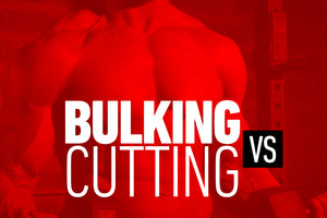 Bulking vs Cutting
