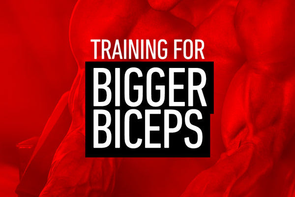 Training for Bigger Biceps