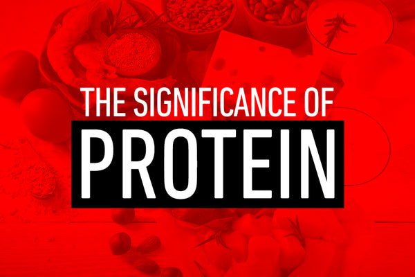 The Significance of Protein