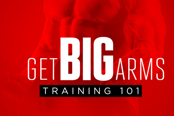 Get Big Arms Training 101