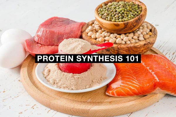 Protein Synthesis 101