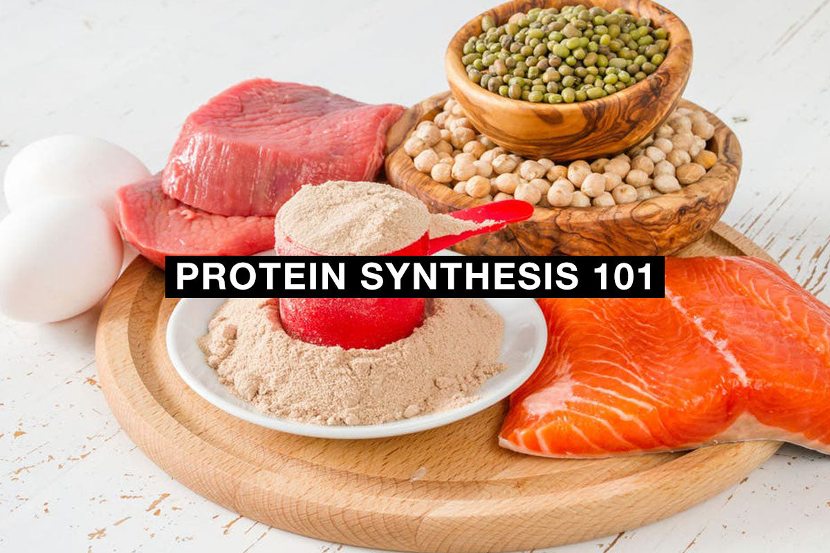 Protein Synthesis 101 1 Up Nutrition
