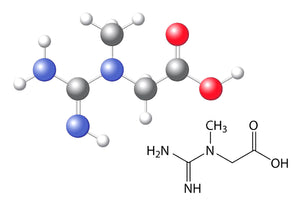 Should you use Creatine while cutting?