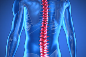 Spinal Health and Bodybuilding