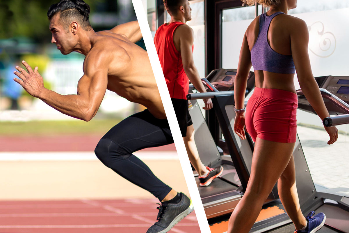 Steady Cardio vs HIIT Cardio 1 Up Nutrition