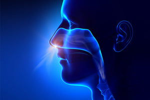 The Benefits of Nose Breathing