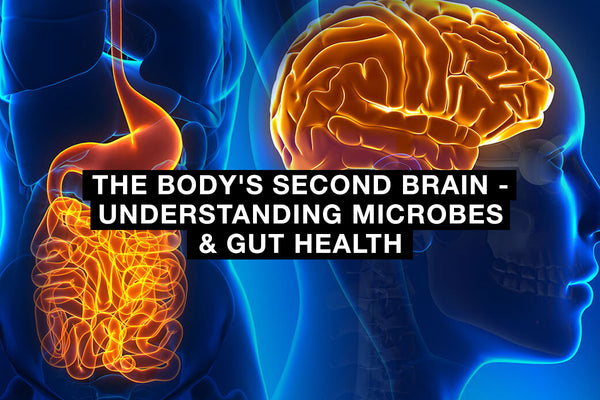 The Body's Second Brain - Understanding Microbes & Gut Health