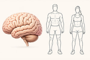 How Your Weight Impacts Macro Needs
