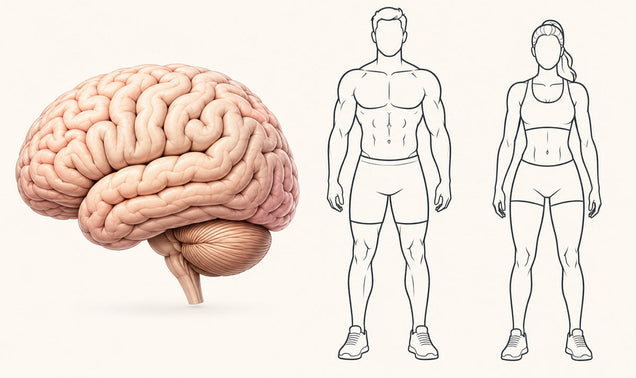 The Two-in-One Supplement That Covers Your Body and Your Brain