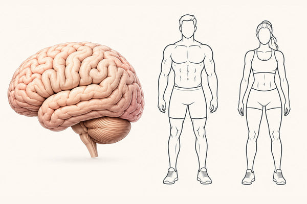 The Two-in-One Supplement That Covers Your Body and Your Brain