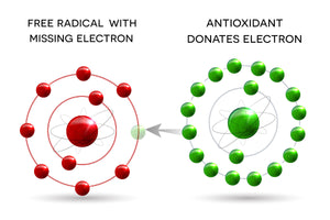 What Are Free Radicals? How to Fight Them