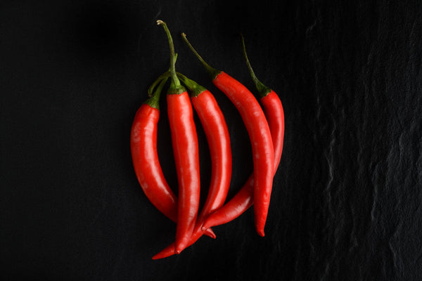 What Is CaloriBurn and How Does a Spice From West Africa Help You Burn More Fat?