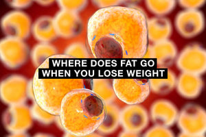 Where Does Fat Go When You Lose Weight