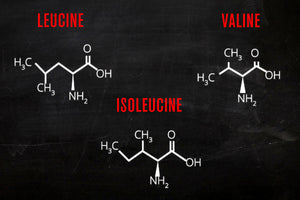 Who Should Take Amino Acid Supplements