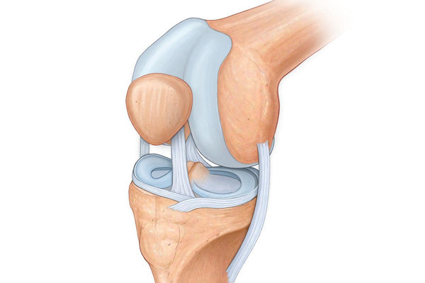 Why Joint and Cartilage Recovery is so Important?