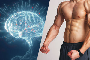 What is Anterior Pelvic Tilt?