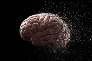 L-Carnitine vs Fat Burner - Which Is For You?