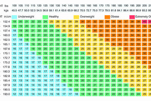 Truth About BMI “body mass index”