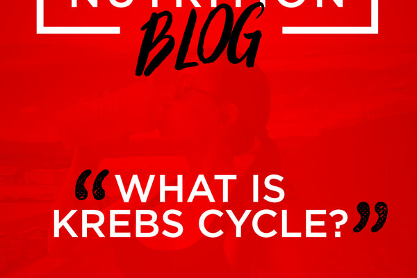 Krebs Cycle
