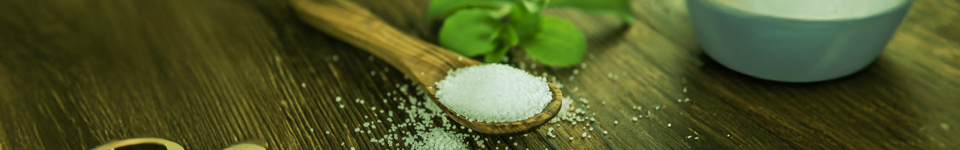 Collection Hero Image